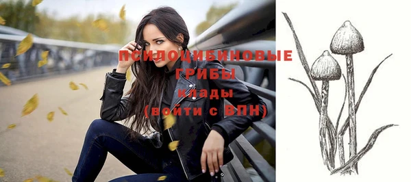 ешки Вяземский