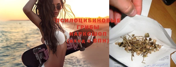 дмт Горнозаводск
