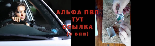 сатива Горно-Алтайск