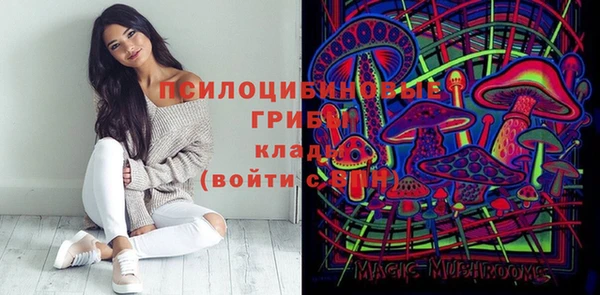 сатива Горно-Алтайск