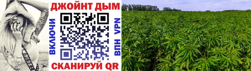 Бошки Шишки OG Kush  Ивангород 